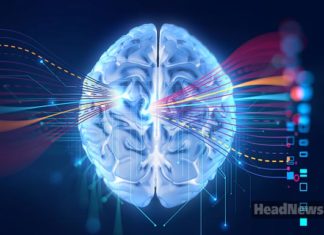 Мозок. Новини України сьогодні. AdverMAN