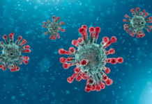 Коронавірус, coronavirus